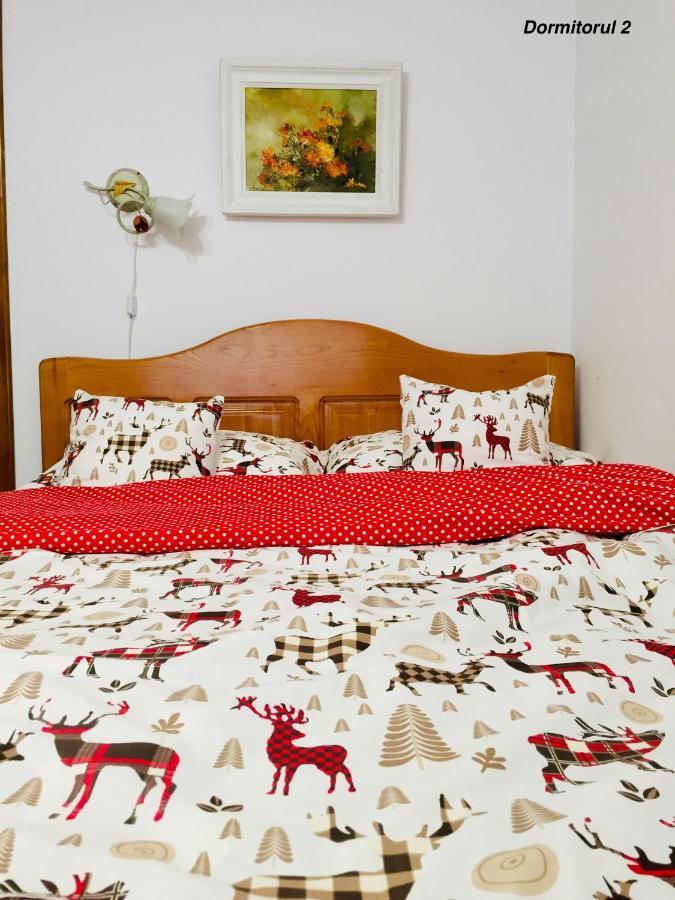 סלניק מולדובה Apartament Veverite מראה חיצוני תמונה